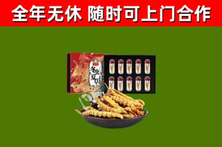 玉龙烟酒回收冬虫夏草礼盒.jpg