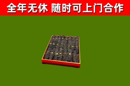 玉龙回收海参